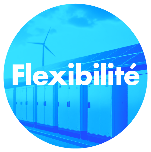 Flexibilité électrique