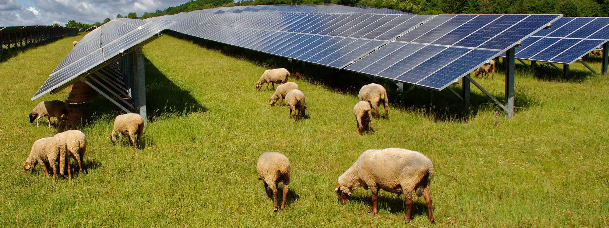 solar panels - agrivoltaisme - France