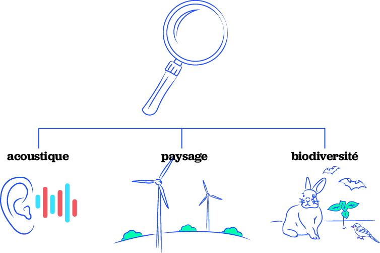 Réalisation des études d’impact
