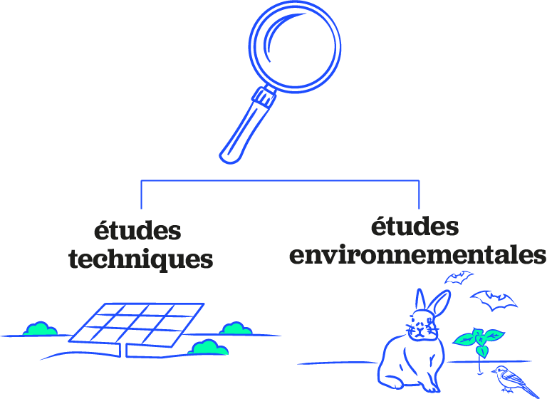 Réalisation des études d’impact