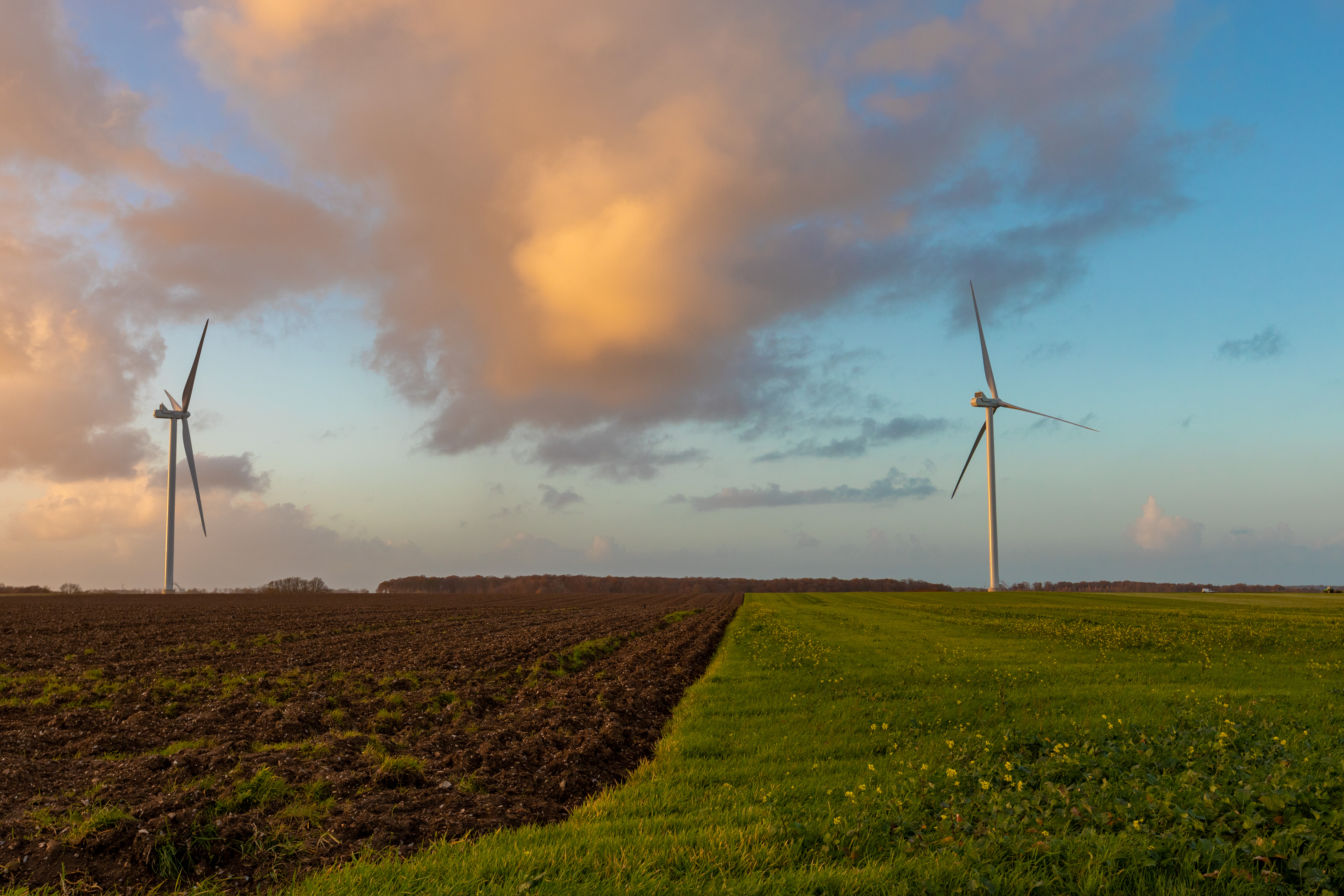 Wind farm in France