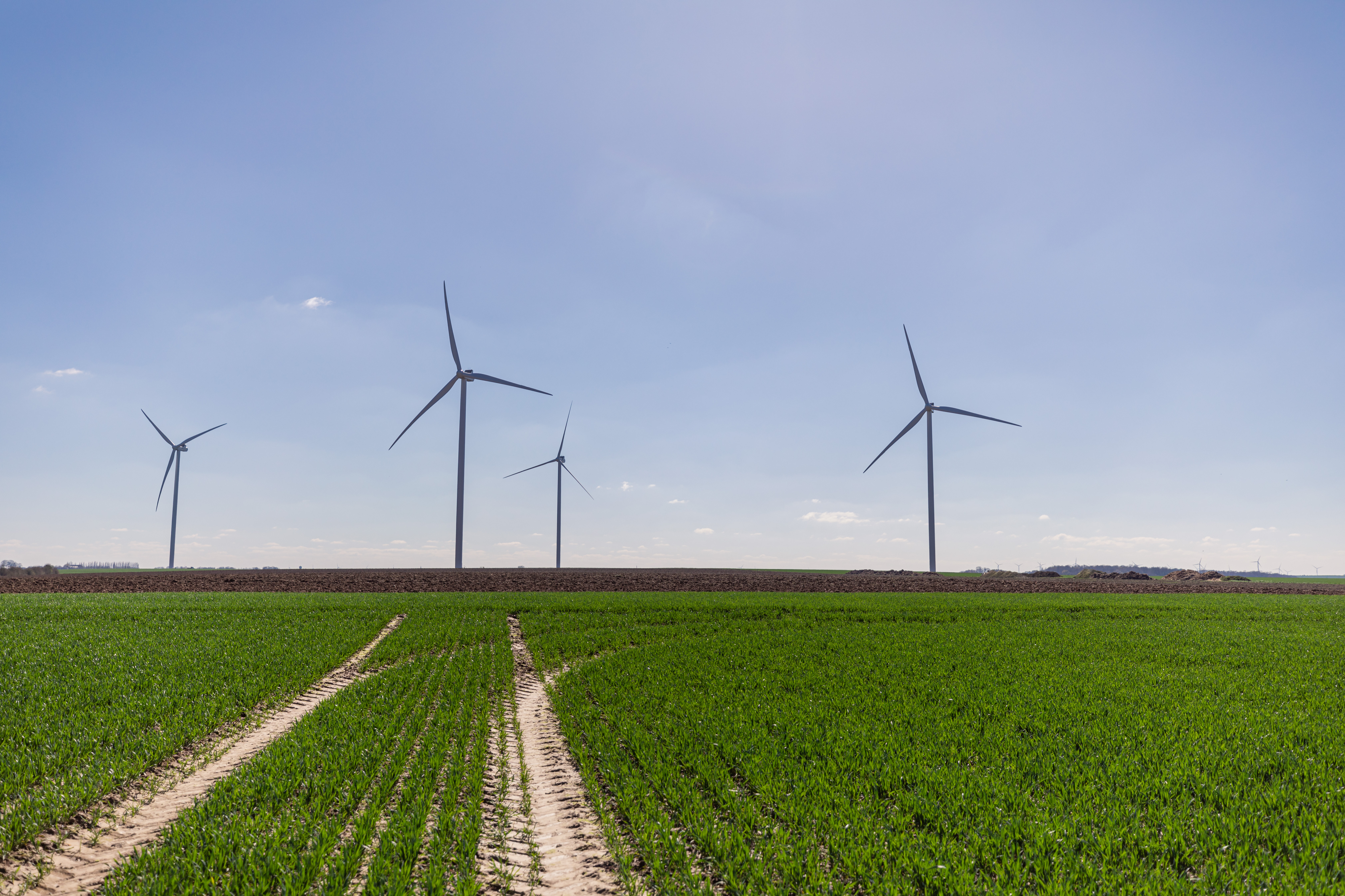 Wind farm of the lupin