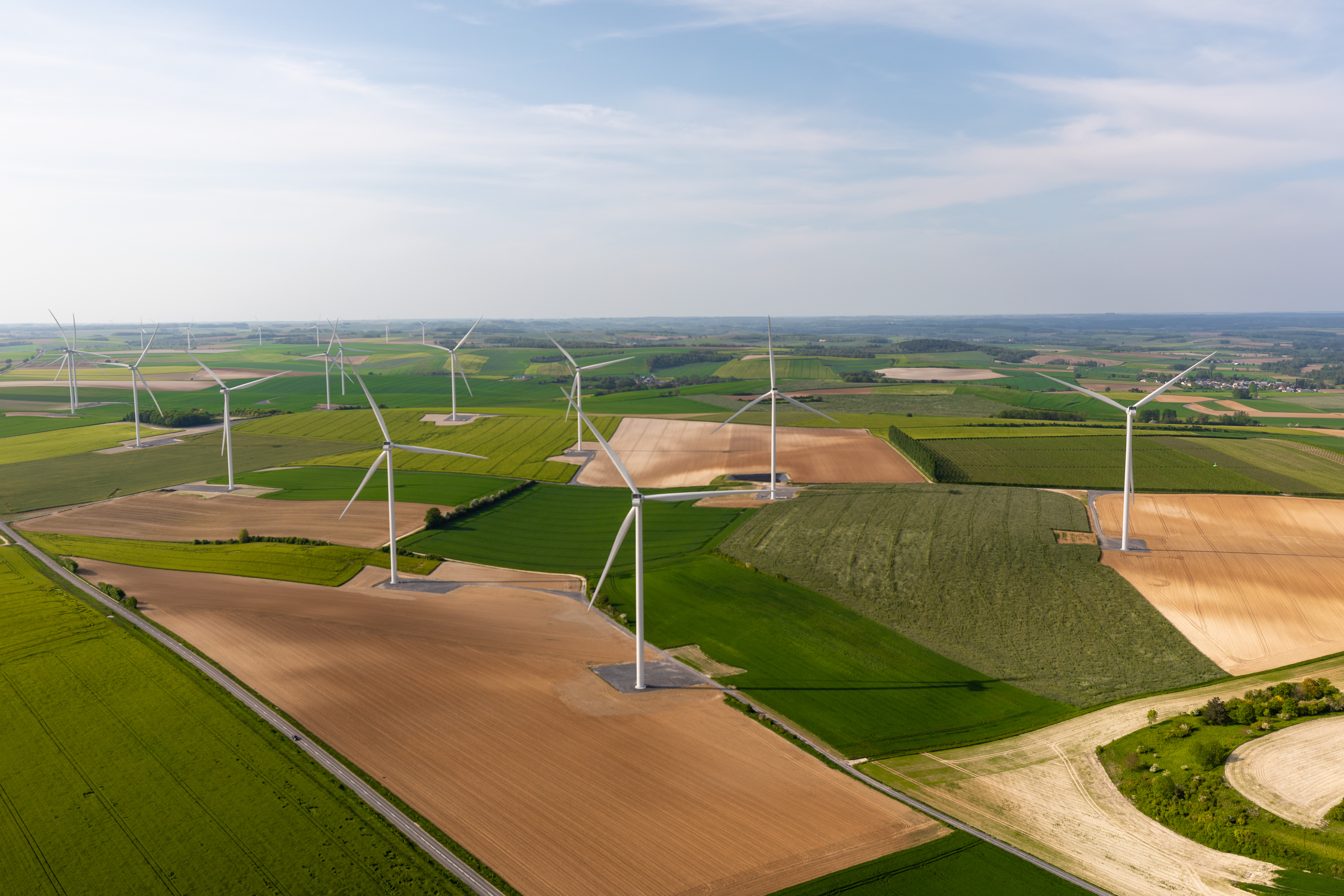 Wind farm of the Myosotis